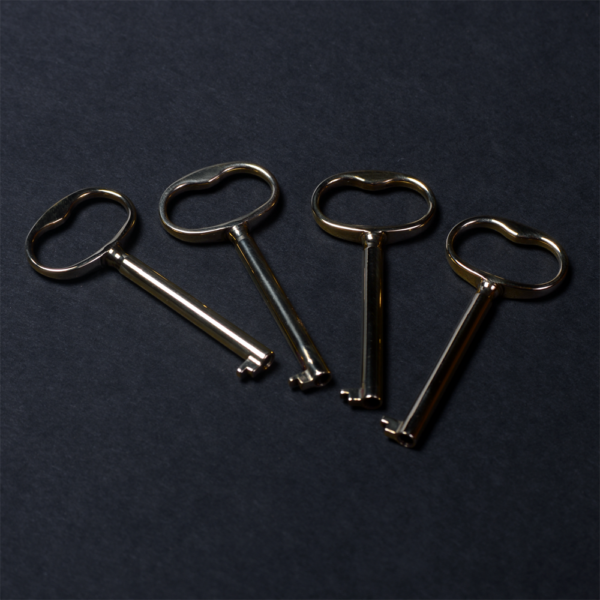 closeup of smartLock keys - simple, elegant, beautifully made